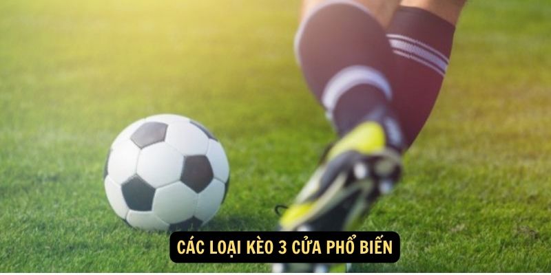 Các loại kèo 3 cửa phổ biến