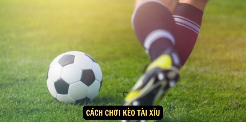 Cách Chơi Kèo Tài Xỉu