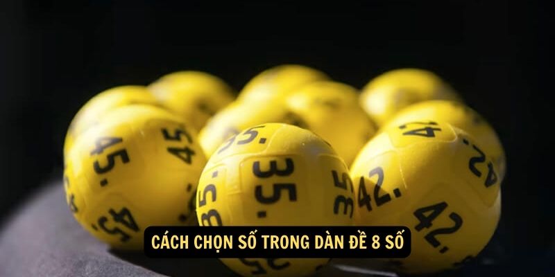 Cách Chọn Số trong Dàn Đề 8 Số