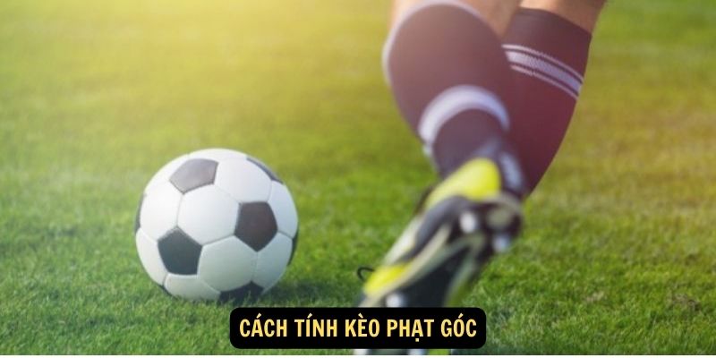 Cách tính kèo phạt góc