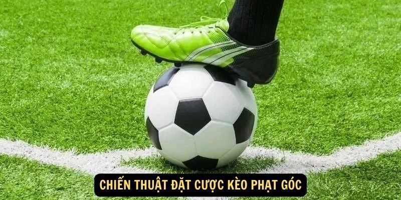 Chien thuat dat cuoc keo phat goc