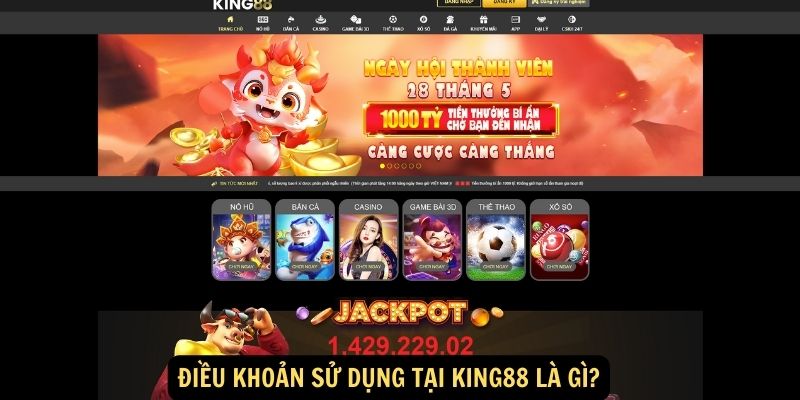 Điều khoản sử dụng tại King88 là gì?