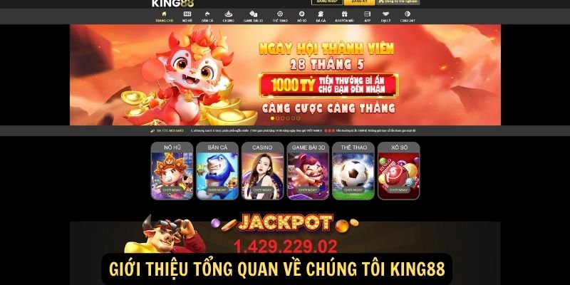 Giới Thiệu Tổng Quan Về Chúng Tôi King88