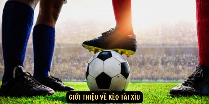 Giới thiệu về Kèo Tài Xỉu