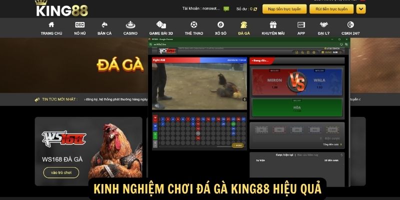 Kinh nghiệm chơi Đá gà King88 hiệu quả